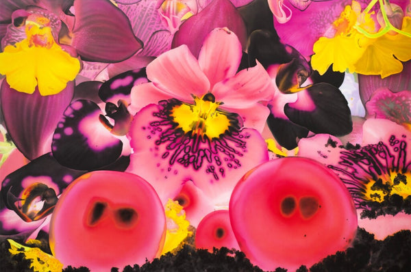 IN THE NIGHT GARDEN (SPECTRA I LINE)