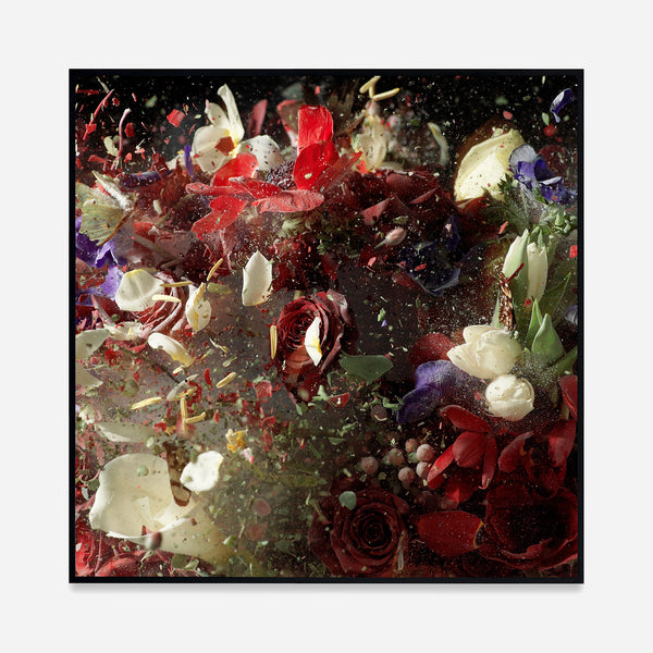 Ori Gersht